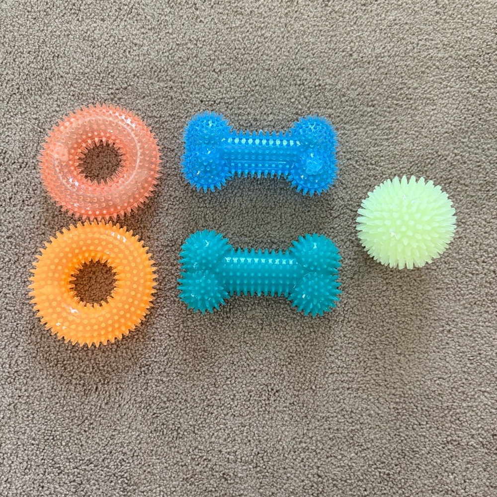 Vibrant Spiky Squeaky Dog Toy Set - Orange, Blue, Green - Set of Five (5)